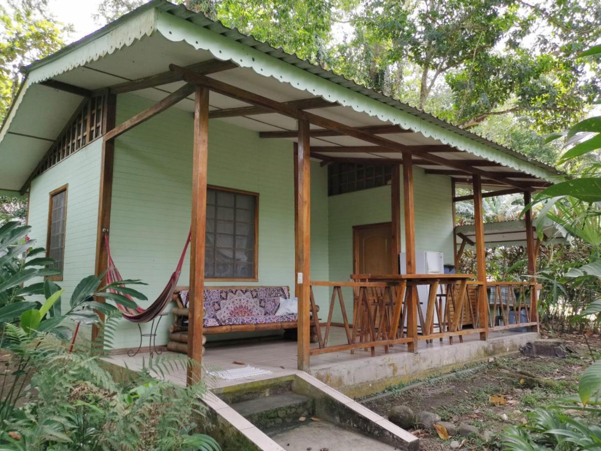 Luna Caribena Village Puerto Viejo de Talamanca Екстериор снимка