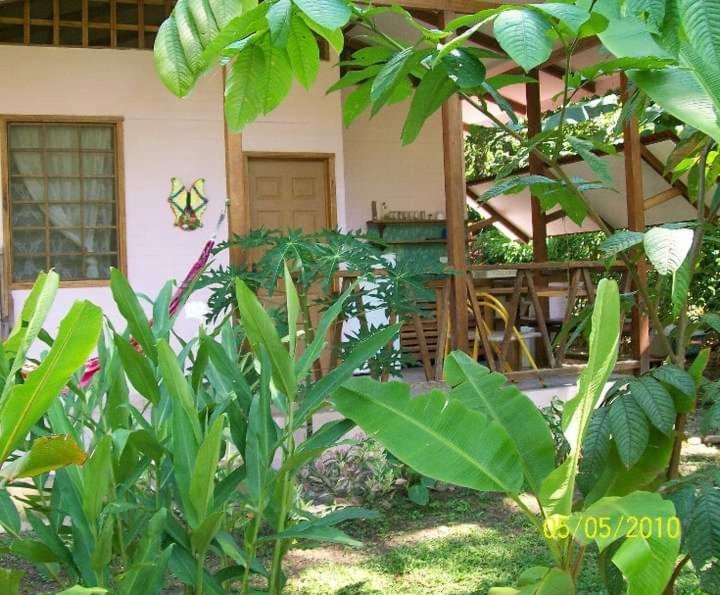 Luna Caribena Village Puerto Viejo de Talamanca Екстериор снимка