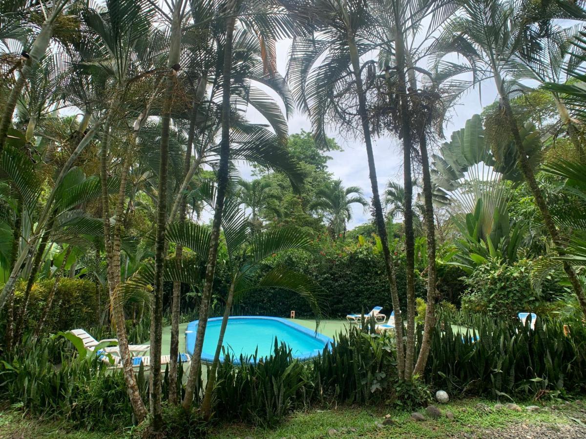 Luna Caribena Village Puerto Viejo de Talamanca Екстериор снимка