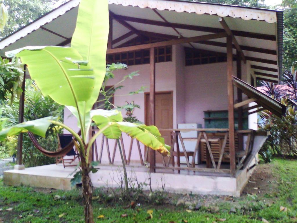 Luna Caribena Village Puerto Viejo de Talamanca Екстериор снимка