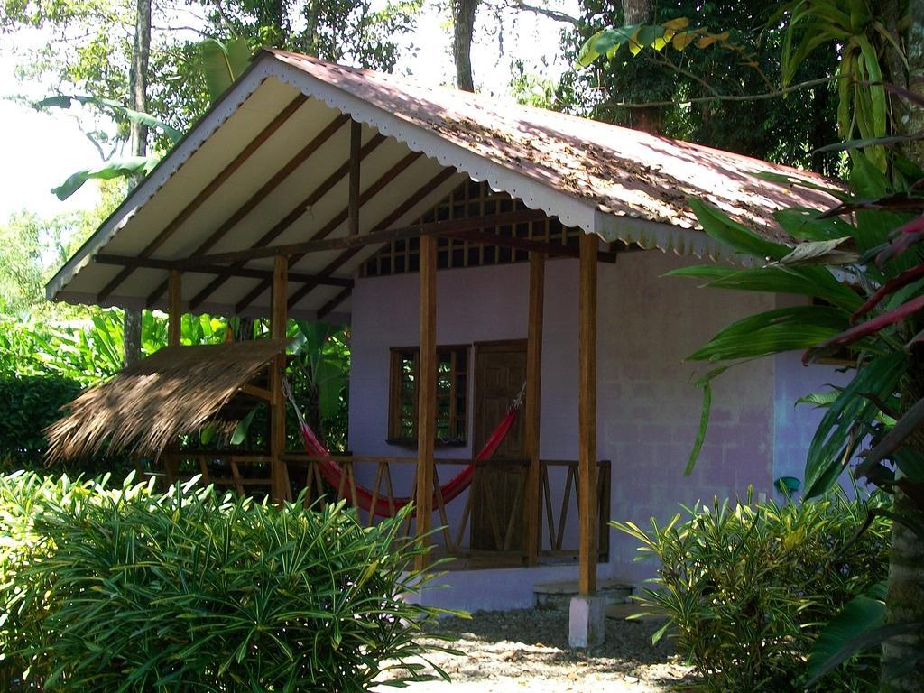 Luna Caribena Village Puerto Viejo de Talamanca Екстериор снимка