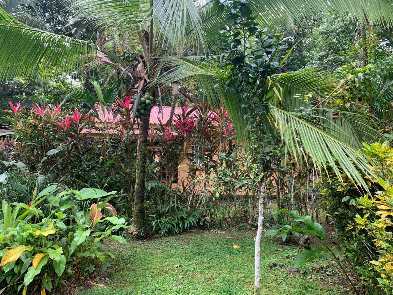 Luna Caribena Village Puerto Viejo de Talamanca Екстериор снимка