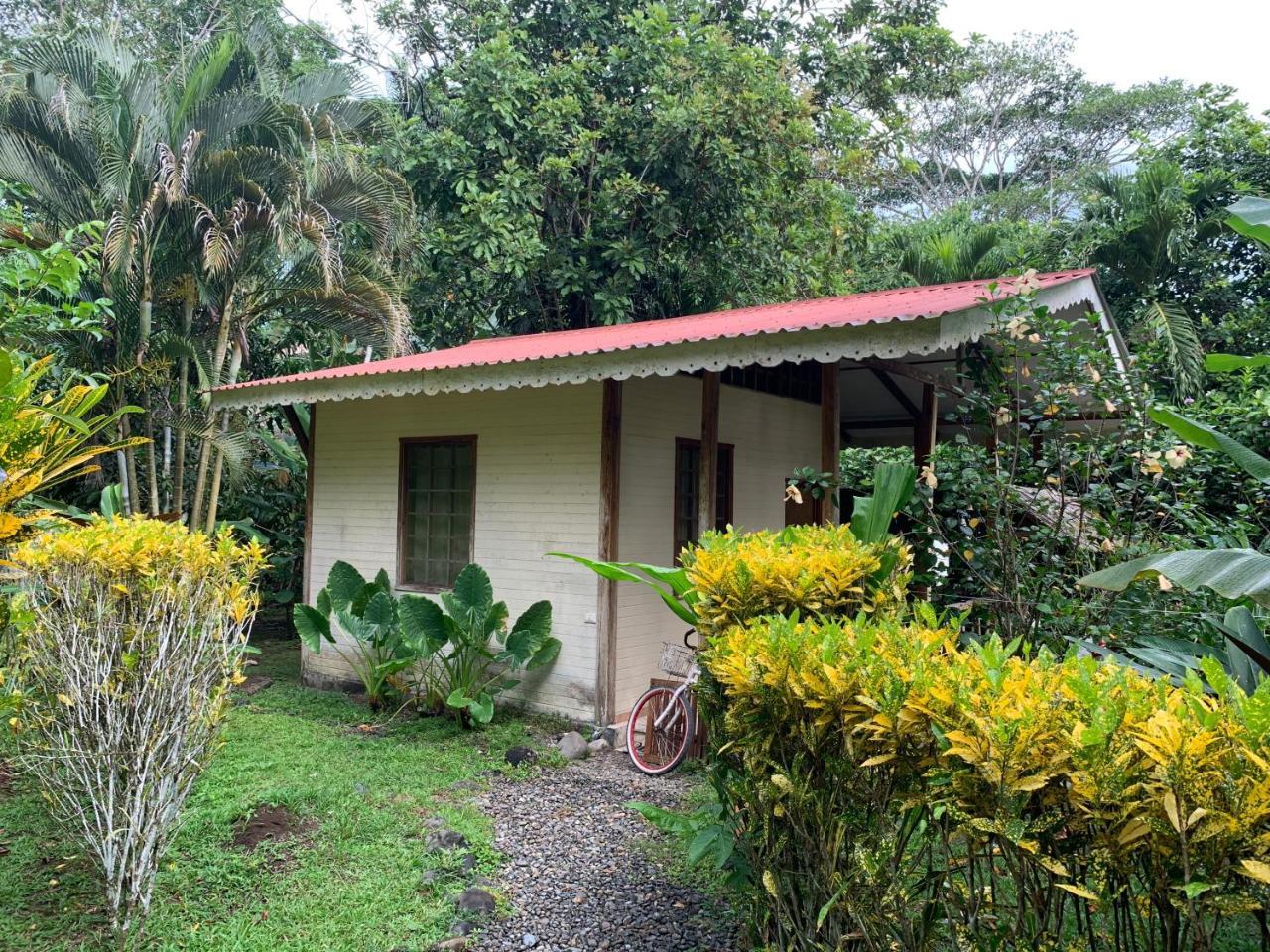 Luna Caribena Village Puerto Viejo de Talamanca Екстериор снимка