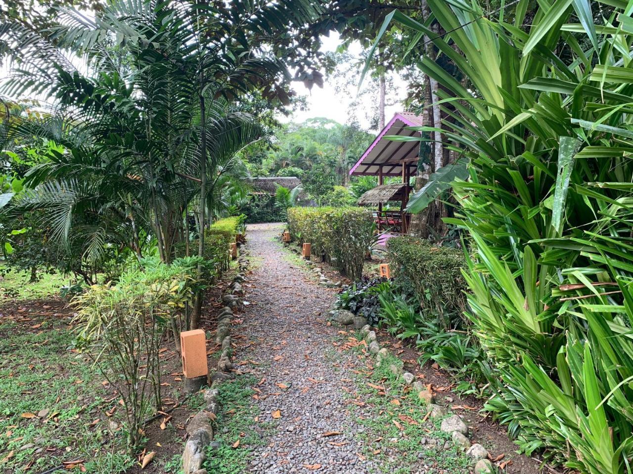 Luna Caribena Village Puerto Viejo de Talamanca Екстериор снимка