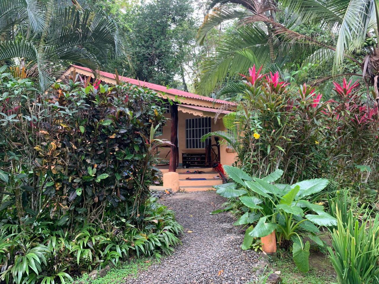 Luna Caribena Village Puerto Viejo de Talamanca Екстериор снимка