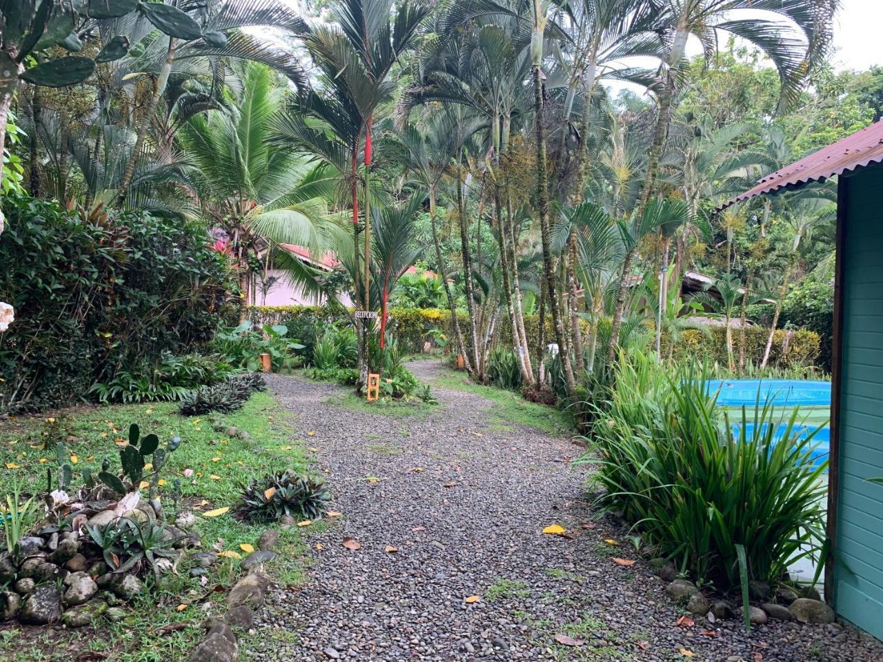 Luna Caribena Village Puerto Viejo de Talamanca Екстериор снимка