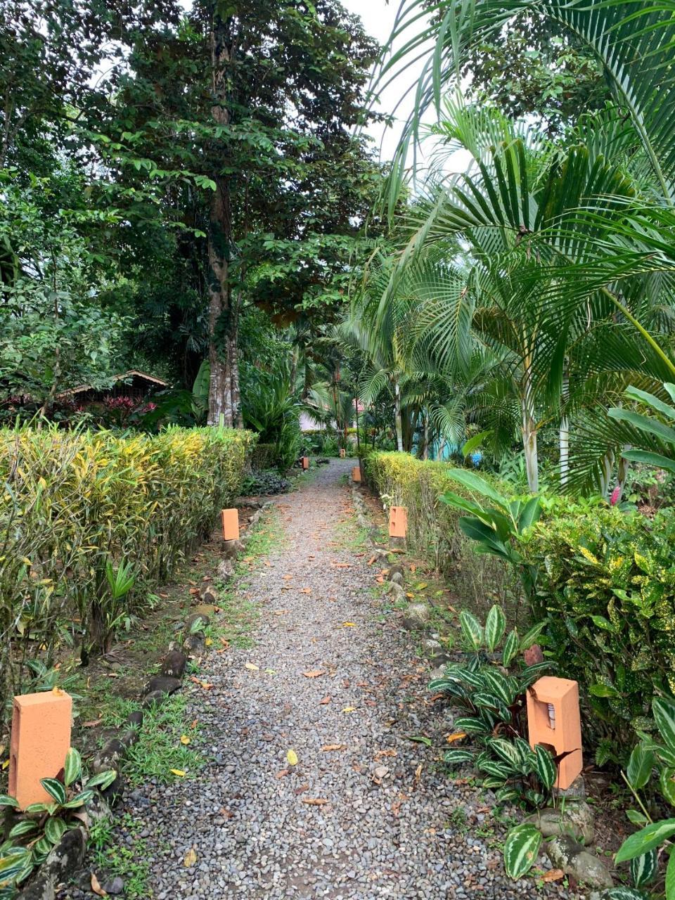 Luna Caribena Village Puerto Viejo de Talamanca Екстериор снимка