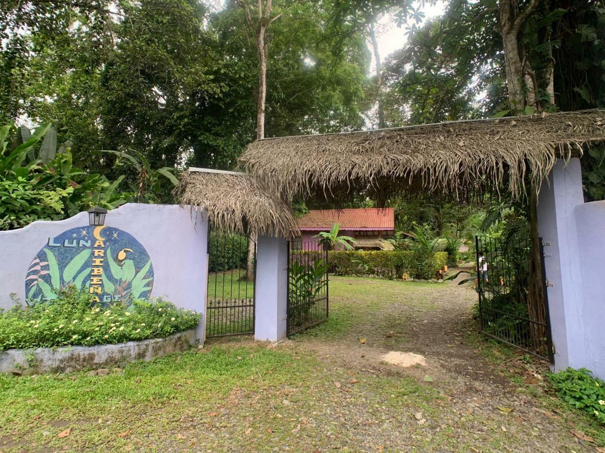 Luna Caribena Village Puerto Viejo de Talamanca Екстериор снимка