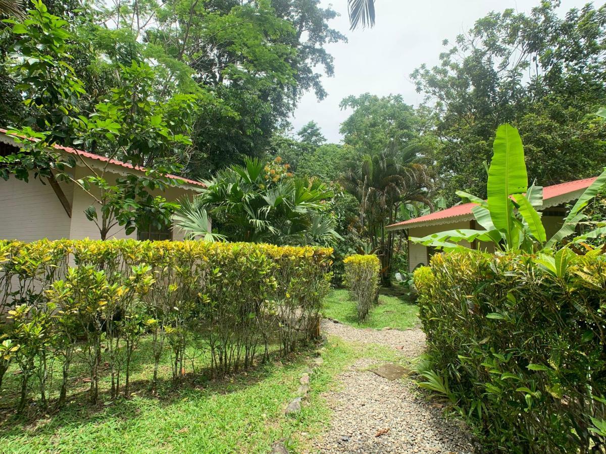 Luna Caribena Village Puerto Viejo de Talamanca Екстериор снимка